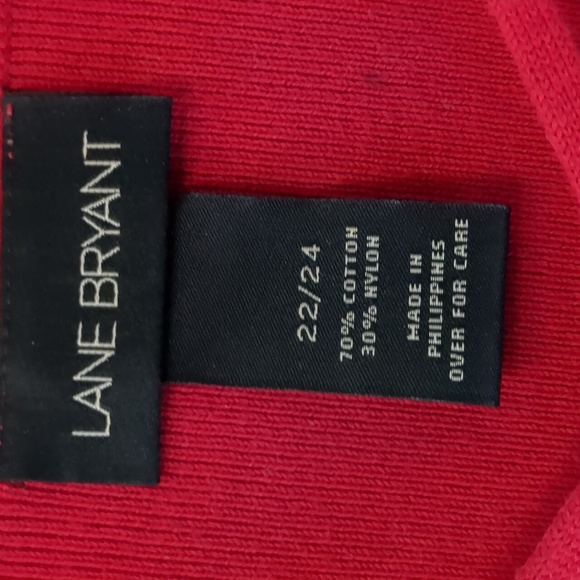 Lane Bryant V-Neck Sweater - 22/24 - Picture 4 of 6